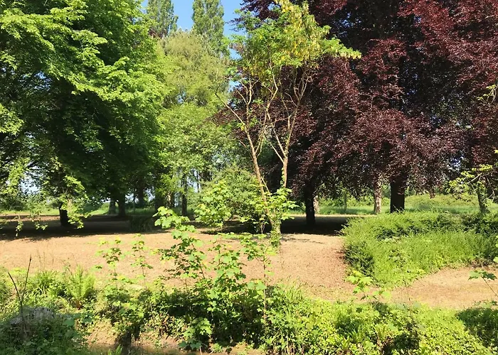 Des Champs & Nyaraló *